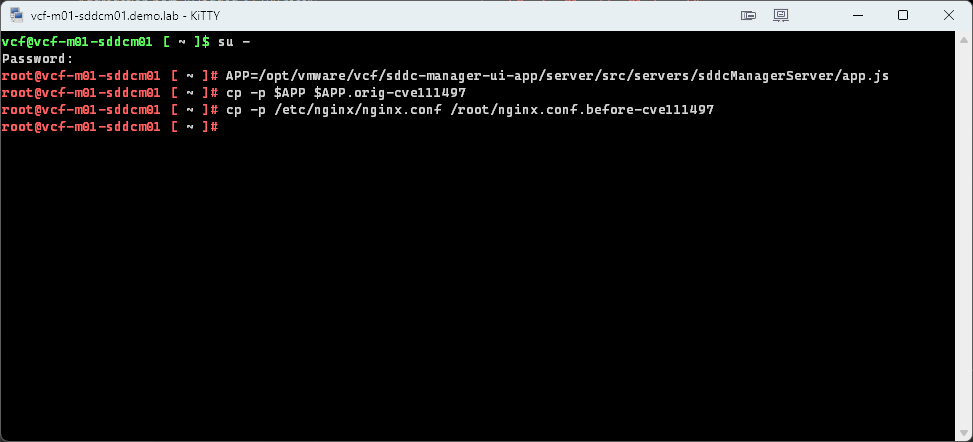 The root shell after setting the APP variable and copying both files
